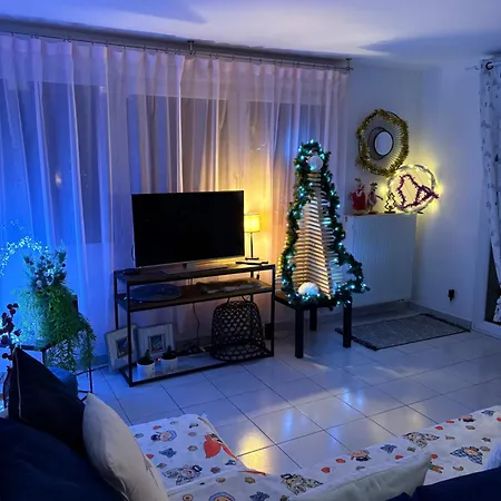 Quiet - Les Maraichers - Terrace - Private Garage * Colmar